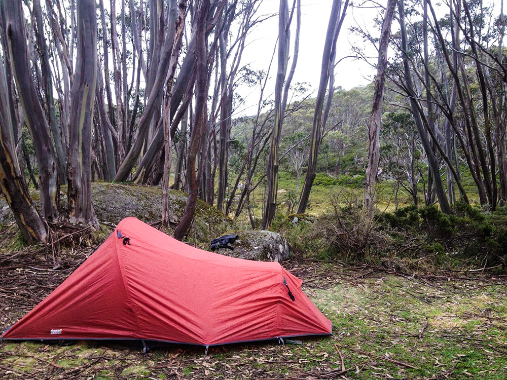 Our piece of paradise at the Mt Whitelaw Hut Site.