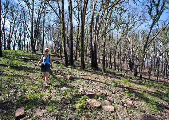 North Jawbones near the Farmyard