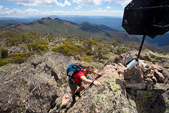 Summit of Mt Cobberas (1835m)